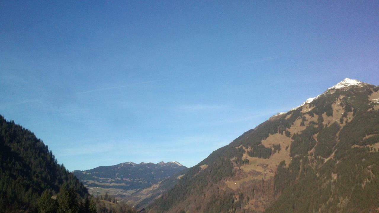 Neuberg Alm Villa Sankt Gallenkirch Dış mekan fotoğraf